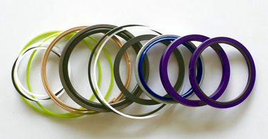 comprare Guarnizione dell'asta/braccio/cilindro di Buckect online manufacture
